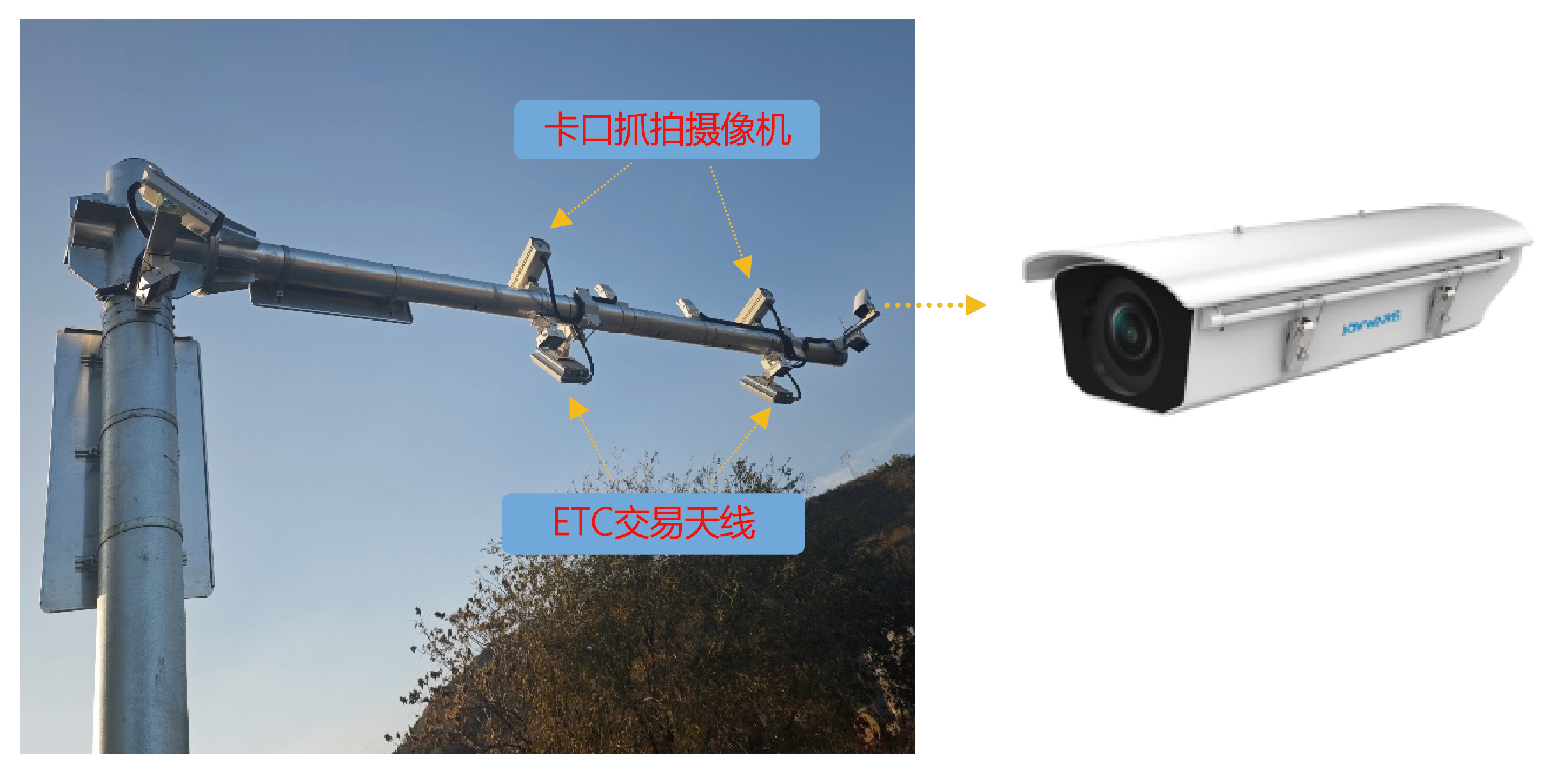 未标题-1_画板 1.png